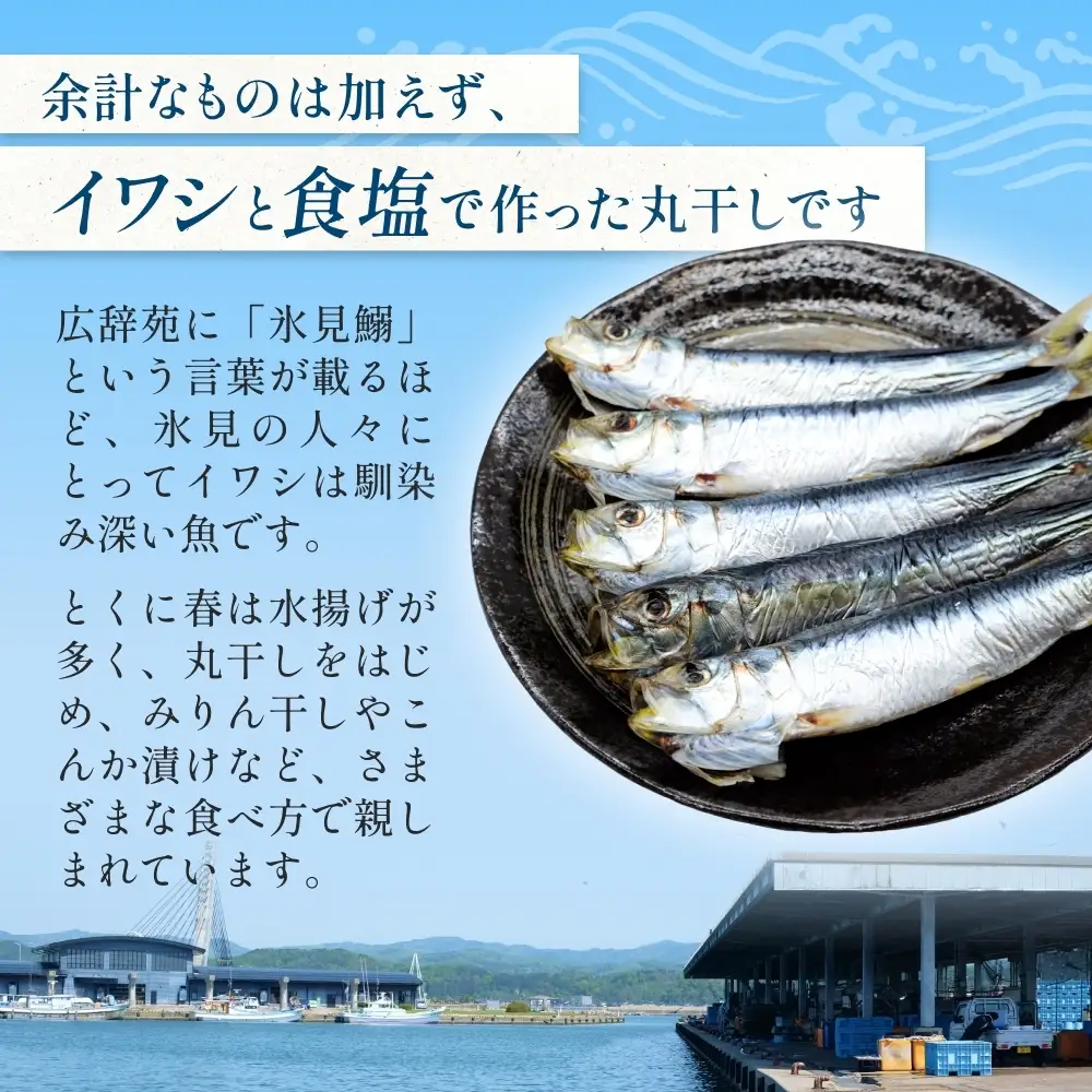 いわし丸干し（7尾） × 8セット 〈冷凍〉 