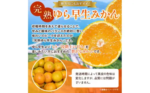  完熟ゆら早生みかん☆贈答用☆ 2kg / 和歌山県 柑橘 みかん 甘い 蜜柑 フルーツ 果物 くだもの 食品 人気  晩柑 おすすめ 送料無料 産地直送 由良町 ※ 2026年11月上旬頃から11月中旬頃に順次発送予定【kzmn004-kan-2】