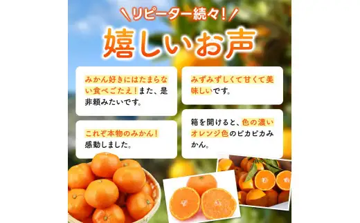  ゆらみかん 10kg / 温州みかん 和歌山県 柑橘 みかん 甘い 蜜柑 フルーツ 果物 くだもの 食品 人気   おすすめ 送料無料 産地直送 由良町 ※2026年11月下旬頃から12月上旬頃に順次発送予定【kzmn004-r-10】