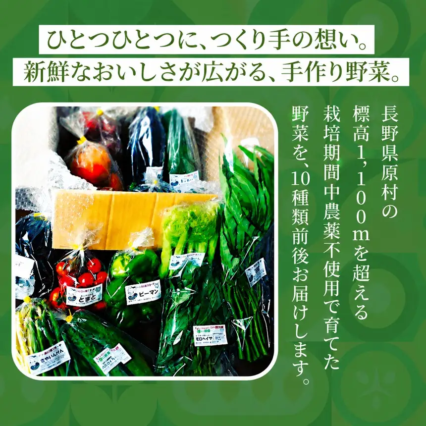 【栽培期間中農薬不使用・無化学肥料・無家畜性肥料で育てた】 季節の 野菜セット ( Mサイズ )【2026年8月上旬～発送】