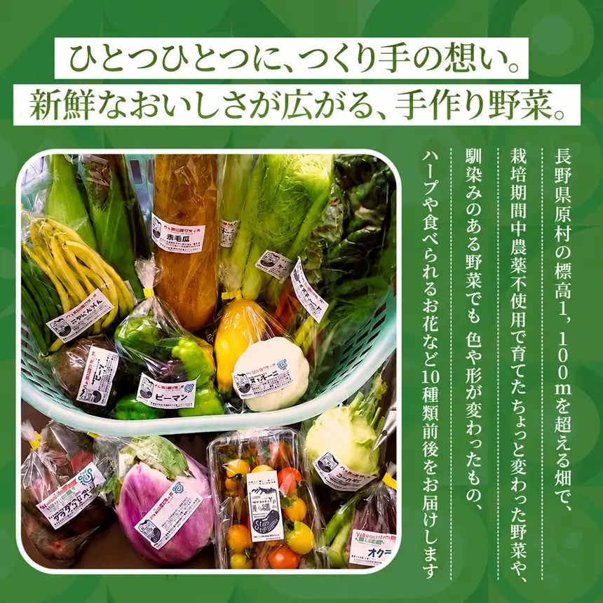 【栽培期間中農薬不使用・無化学肥料・無家畜性肥料で育てた】 季節の 変わり野菜セット ( Lサイズ )【2026年7月下旬～発送】