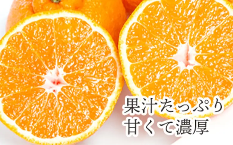 先行予約＜訳あり 愛媛県産 不知火 合計約1.5kg＞ 『2027年2月以降順次出荷予定』しらぬい でこぽん デコポン ご家庭用 ご自宅用 お試し 果物 柑橘 フルーツ 高級 国産 濃厚 果汁 産地直送 特産品 ミヤモトオレンジガーデン 愛媛県 西予市【常温】ONM0021