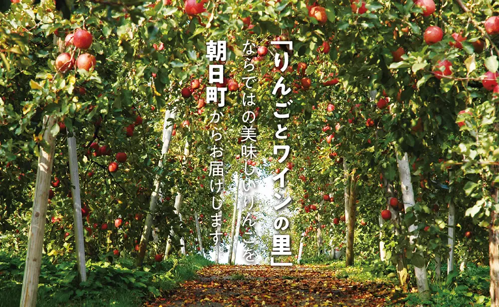 ＜ 先行予約 ＞ りんご 【 ご家庭用 訳あり 】 昂林 5kg 【2026年10月上旬～発送】 山形県 朝日町産 農家直送 山形県産 特産 果物 フルーツ リンゴ 林檎 秋