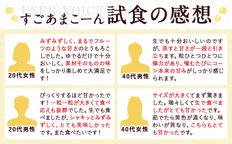とうもろこし 15本 とうもろこし【着日指定不可】