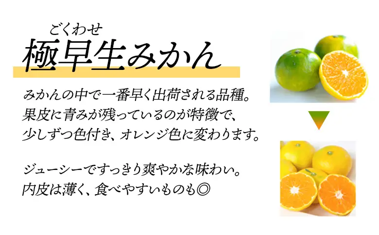 先行予約＜訳あり 愛媛県産 極早生みかん 合計約3kg＞ 『2026年10月以降順次出荷予定』 みかん フレッシュ ご家庭用 ご自宅 ごくわせ キロ 果肉 お試し 果物 柑橘 フルーツ オレンジ 国産 濃厚 産地直送 ミヤモトオレンジガーデン 愛媛県 西予市【常温】ONM0015