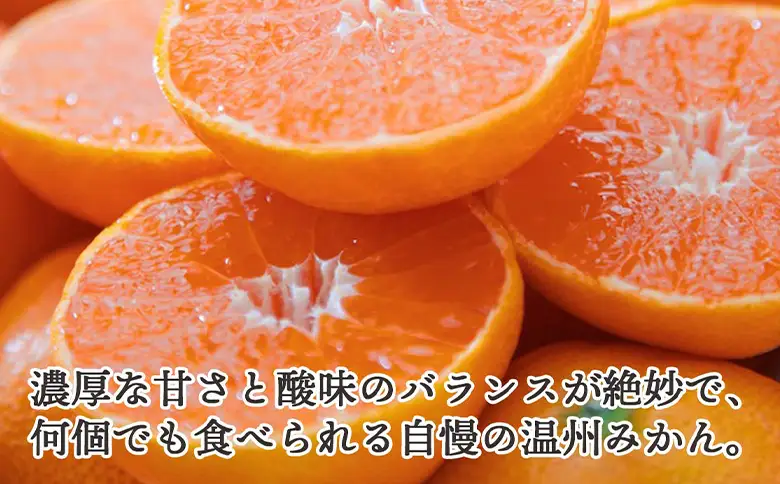 先行予約＜訳あり 大玉 愛媛みかん 合計約2.5kg＞ 『2026年11月以降順次出荷予定』温州 みかん フレッシュ ご家庭用 ご自宅 蜜柑 愛媛県産 果肉 お試し 果物 柑橘 フルーツ オレンジ 国産 産地直送 ミヤモトオレンジガーデン 愛媛県 西予市【常温】ONM0018