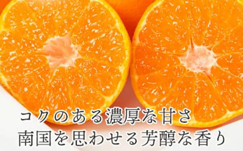 先行予約＜訳あり 愛媛県産 ポンカン 合計約1.5kg＞ 『2027年1月以降順次出荷予定』ぽんかん フレッシュ ご家庭用 ご自宅 蜜柑 愛媛県産 果肉 お試し 果物 柑橘 フルーツ オレンジ 国産 産地直送 ミヤモトオレンジガーデン 愛媛県 西予市【常温】ONM0010