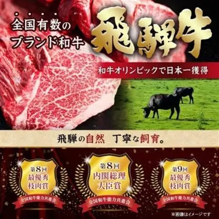 飛騨牛 ひとくちステーキ 食べ比べ2種 約400g(各約200g) 焼肉・BBQ用 サーロイン・ヒレ【配送不可地域：離島】【1733157】