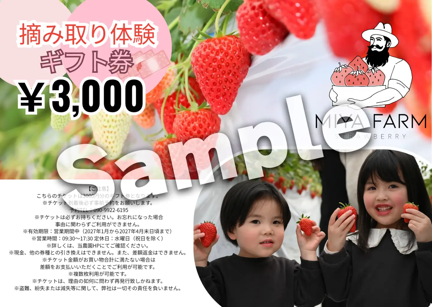 【先行受付】MIYA FARM いちごお持ち帰りギフト券 3,000円分 ※2026年12月～発送