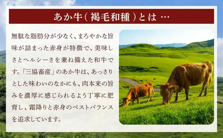熊本和牛あか牛ぎょうざ 60個(20個入り×3箱)