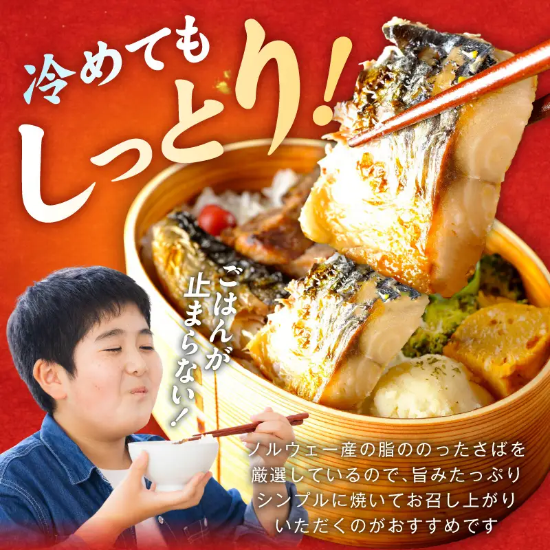 【お弁当サイズ】塩さば 500g（250g×2P）