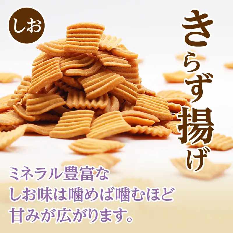きらず揚げ（しお）２０袋セット_01-040-1