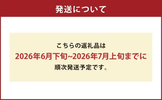 隠れた赤肉メロンの名品 ☆ 肥後ロッソメロン ロッソメロン メロン 国産 熊本県産 果物 くだもの フルーツ 果実 赤肉 ロッソ 【2026年6月下旬発送開始】