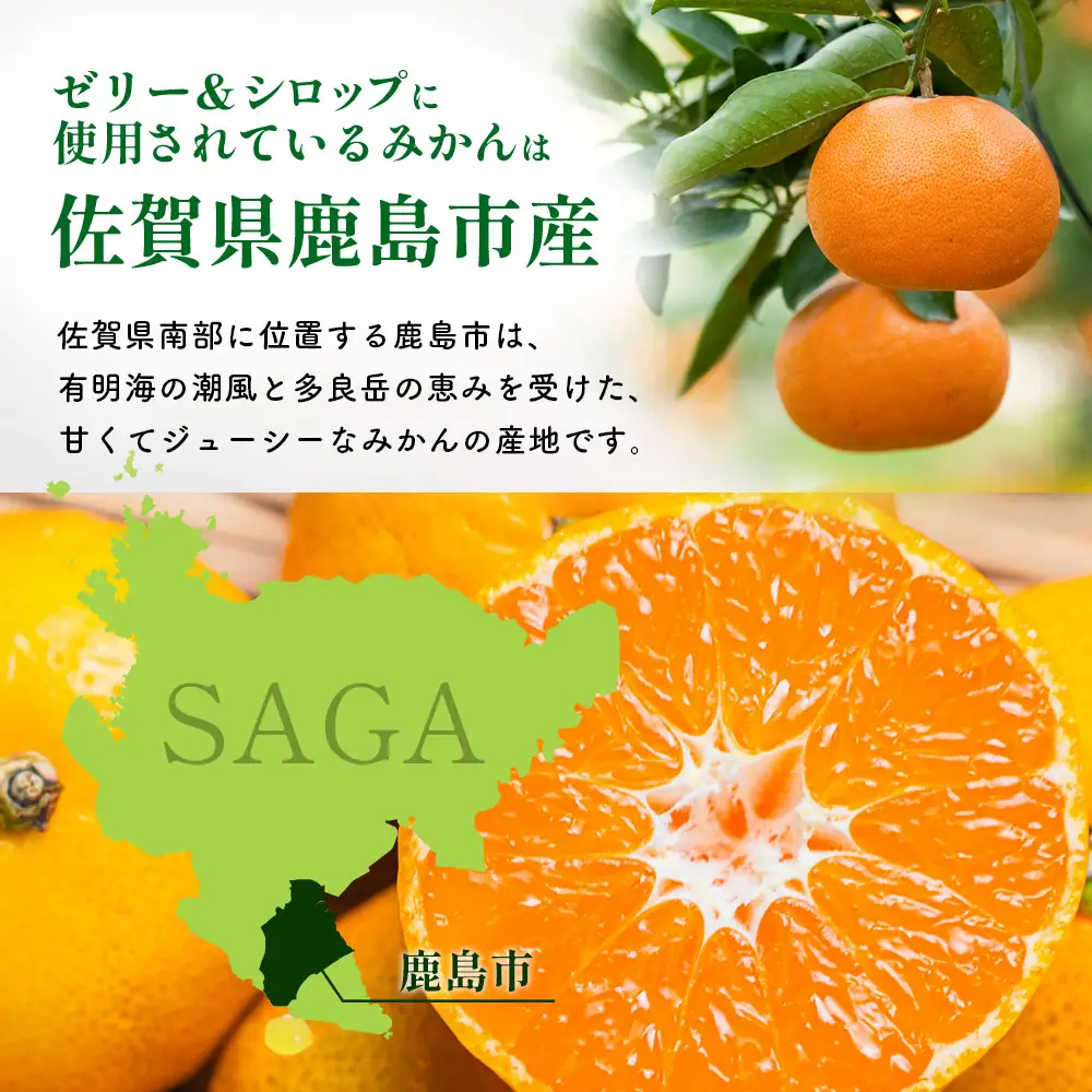 やさしい実かんゼリーとつぶつぶ不知火シロップセット 温州みかん 不知火 保存料不使用 B-912