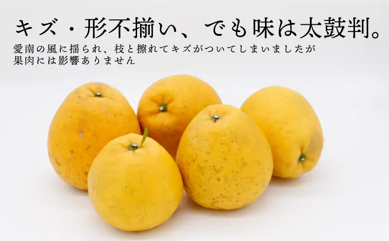 訳あり 愛南ゴールド 河内晩柑 大玉 7kg