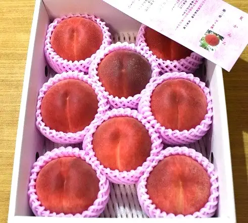 もも ( 夏かんろ ) 2.5kg 桃 果物 山形 08-07-002