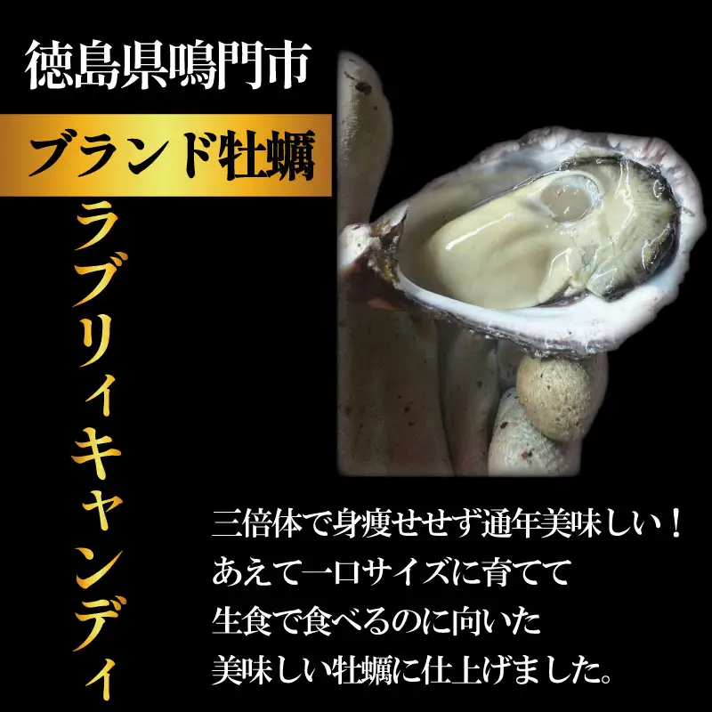 【先行予約】 牡蠣 生牡蠣 殻付き 20個 生食可 (ナイフ付き)ラブリィキャンディ 真牡蠣 かき カキ