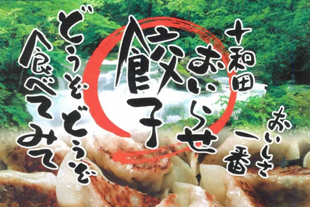 タレ無しで食べる十和田の手作り餃子 10個入り×4パック 十和田市産プレミアムにんにく使用