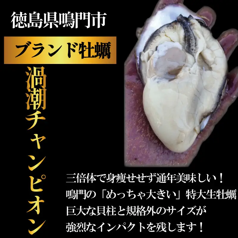 【9月~12月まで発送】渦潮チャンピオン 牡蠣 24個
