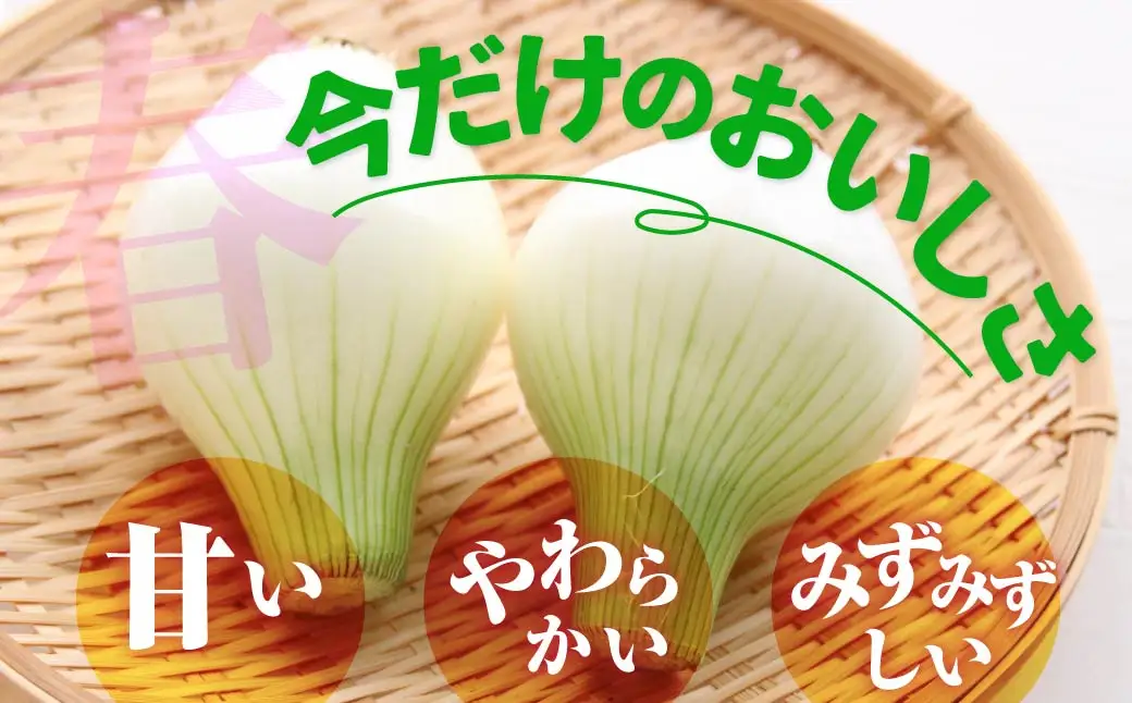 新玉ねぎ 5kg 玉ねぎ