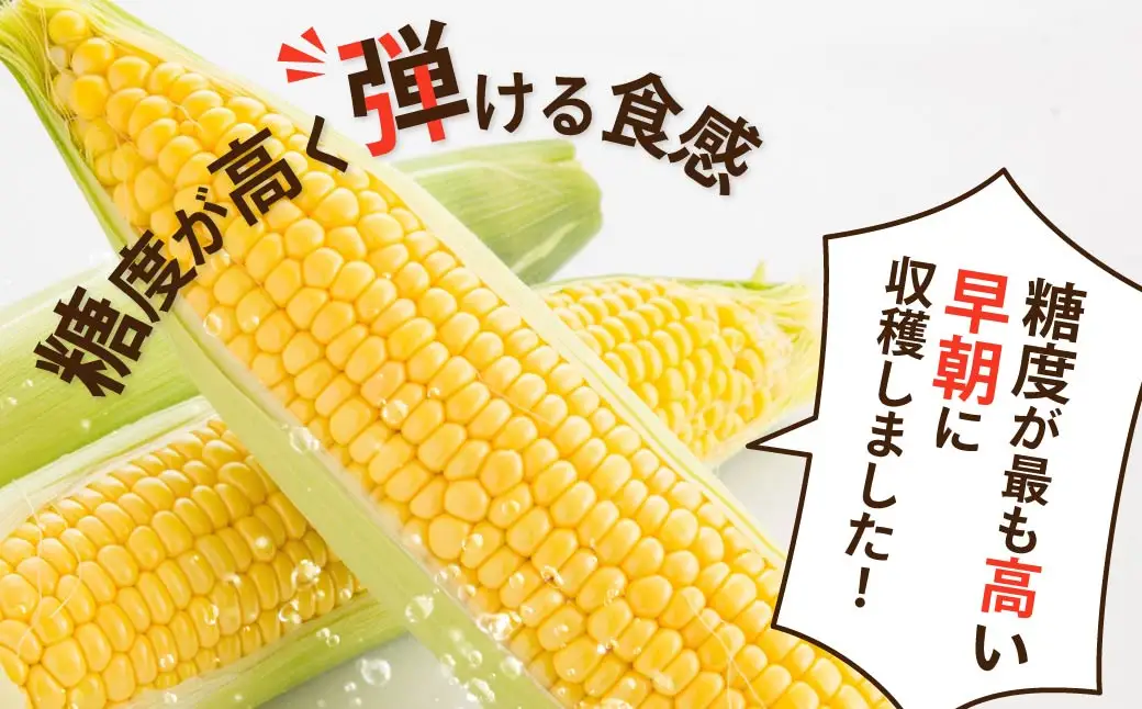 とうもろこし ミルキースイーツ 10本 ゴールドラッシュ トウモロコシ