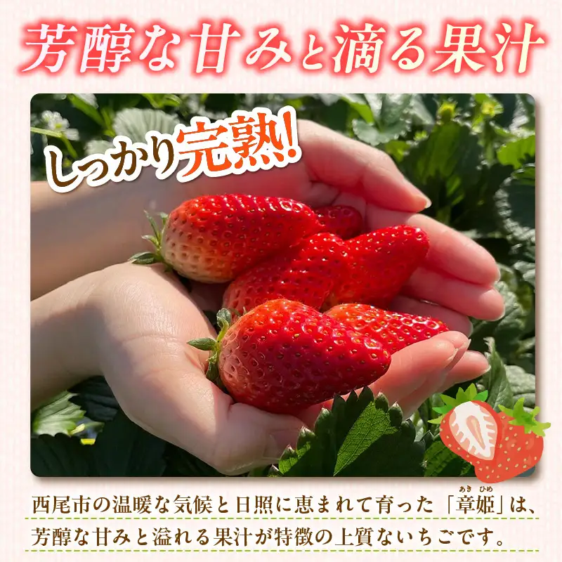 至福の凍果　章姫（あきひめ）500g×3袋・D037