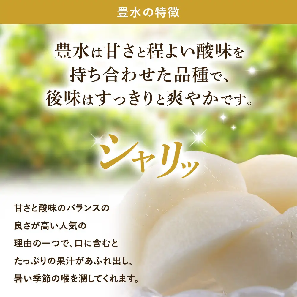 金城果樹園　梨「豊水」約5kg（8～14玉入）2026年9月初旬～ ｜ 梨 