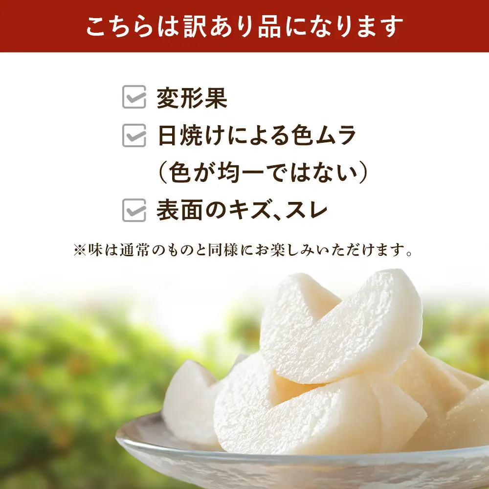 【訳あり】金城果樹園　梨「あきづき」約5kg（8～14玉入）2026年9月中旬～ ｜ 梨 