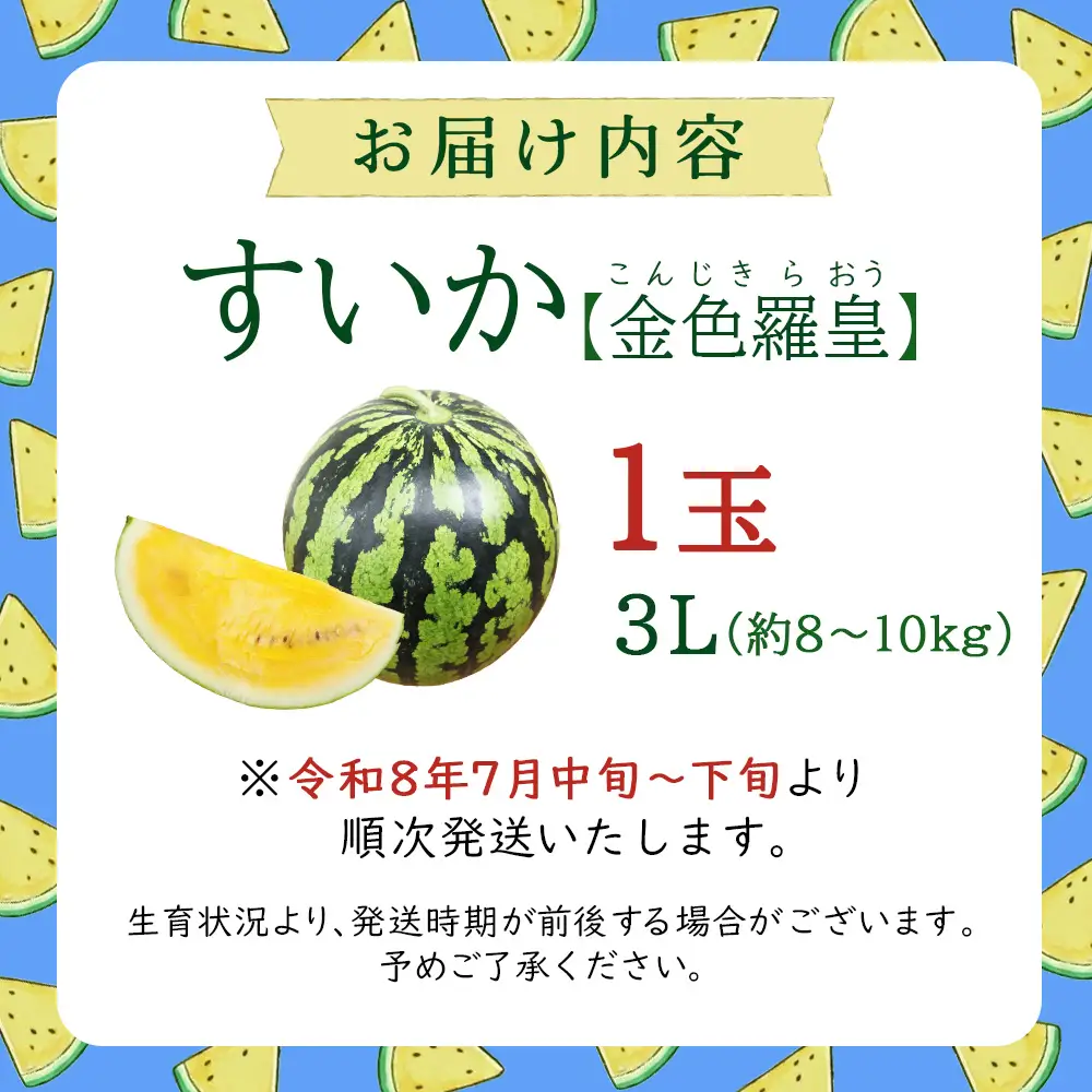 【鳥取県産】スイカ 金色羅皇 3L（1玉） 大玉スイカ 果物 先行予約