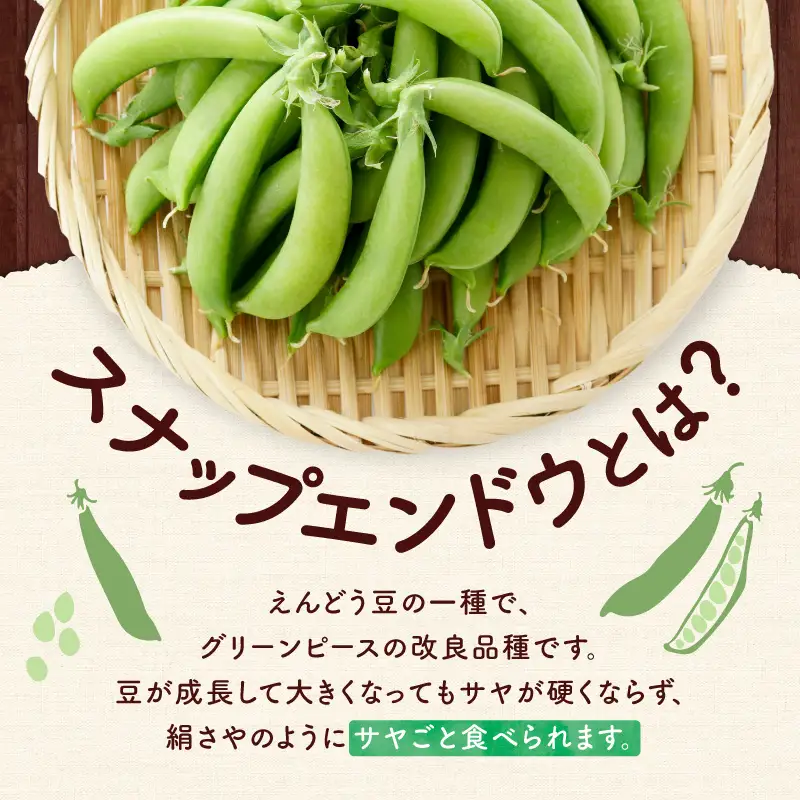 【先行予約6月上旬】甘くてシャキシャキ！スナップエンドウ 1kg えんどう豆_Y124-0048