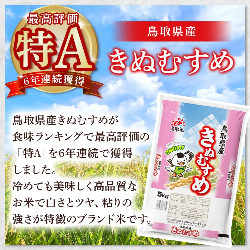 【受付中止】お米 15kg 令和7年産 きぬむすめ （5kgが3袋） 米 受付中止】お米 15kg 令和7年産 きぬむすめ （5kgが3袋） 米の通販