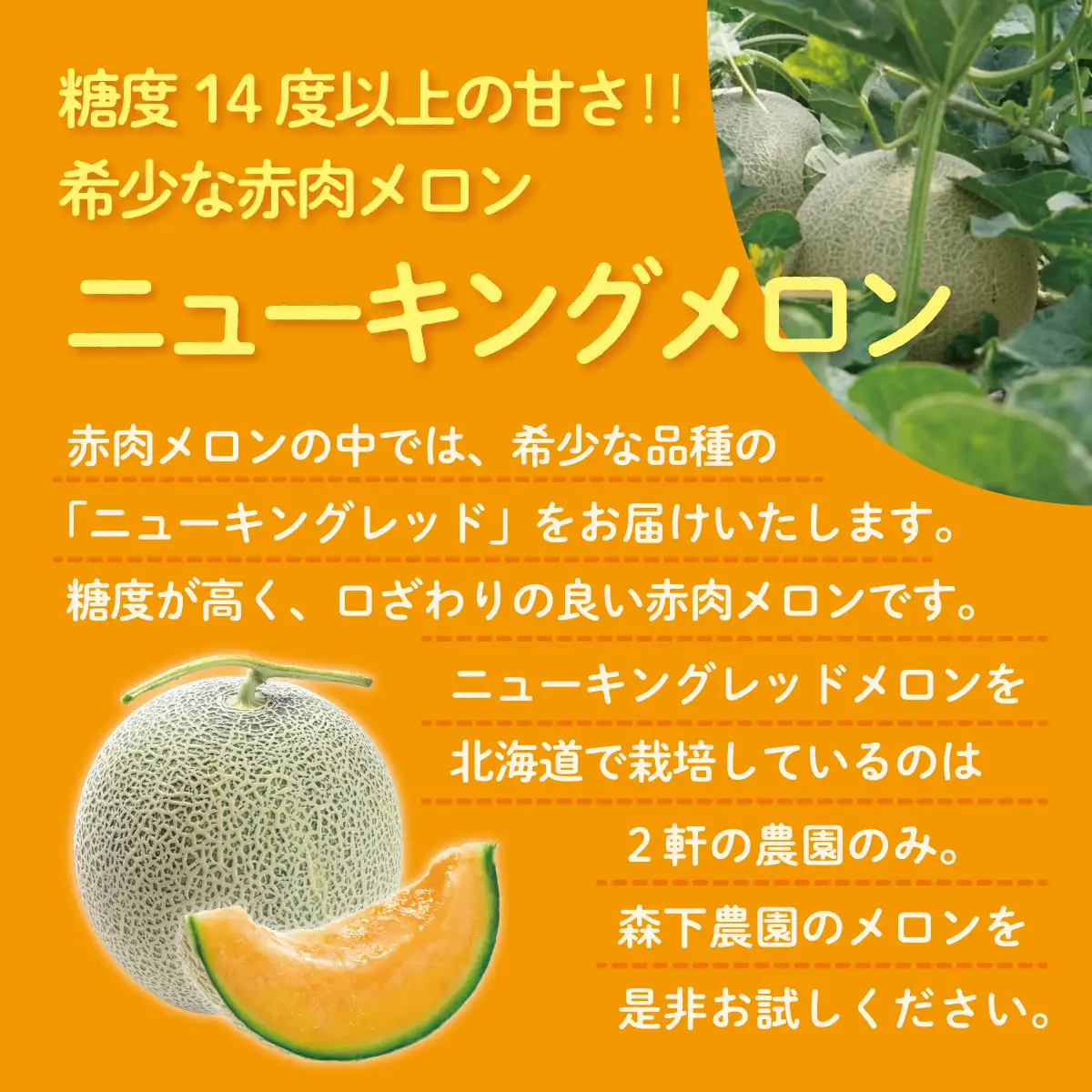 【先行予約】【定期便2回】赤肉メロン2玉＋小玉スイカ2玉 旬のフルーツ定期便　SBTN011