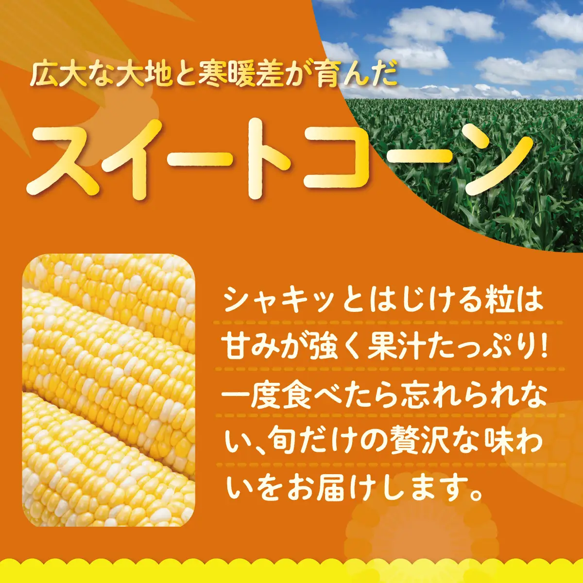 【先行予約】【定期便2回】スイートコーン約5kg(13本) ＋じゃがいも(とうや)約10kg 旬の野菜定期便　SBTN013