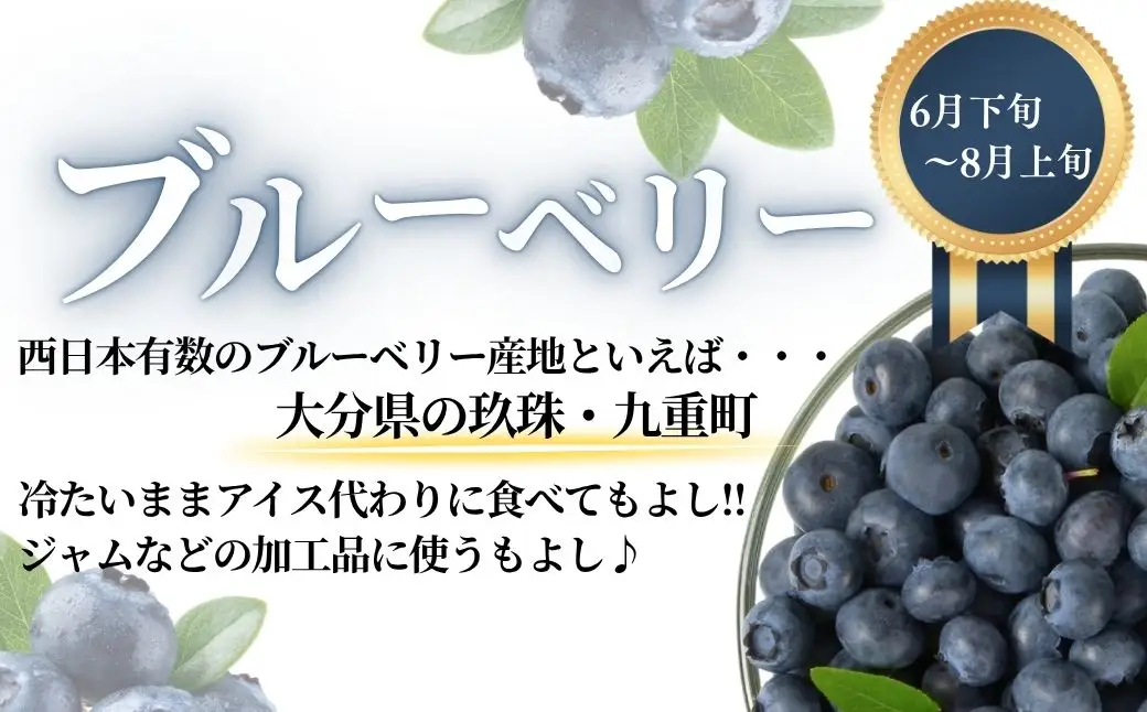 フルーツ 定期便 大分県産旬の フルーツ（全４回） | 津久見市