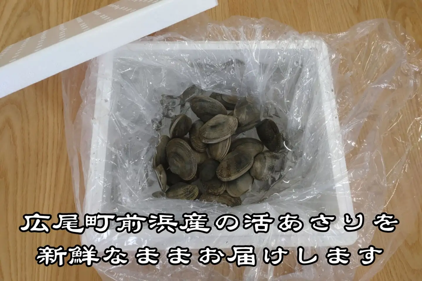 広尾町産　数量限定　活あさり　500g【アサリ　貝　生　新鮮　期間限定　北海道】(G0018)