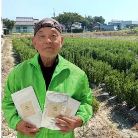 ステビア乾燥茶葉(50g)【1728478】