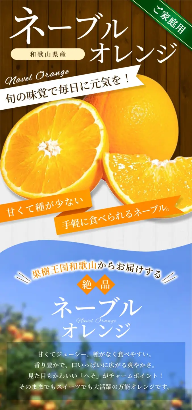 みかん【訳あり・ご家庭用】 森本農園 大玉ネーブルオレンジ 約7kg 【2027年1月上旬～2月中旬頃に順次発送】【BV-mrmt095】
