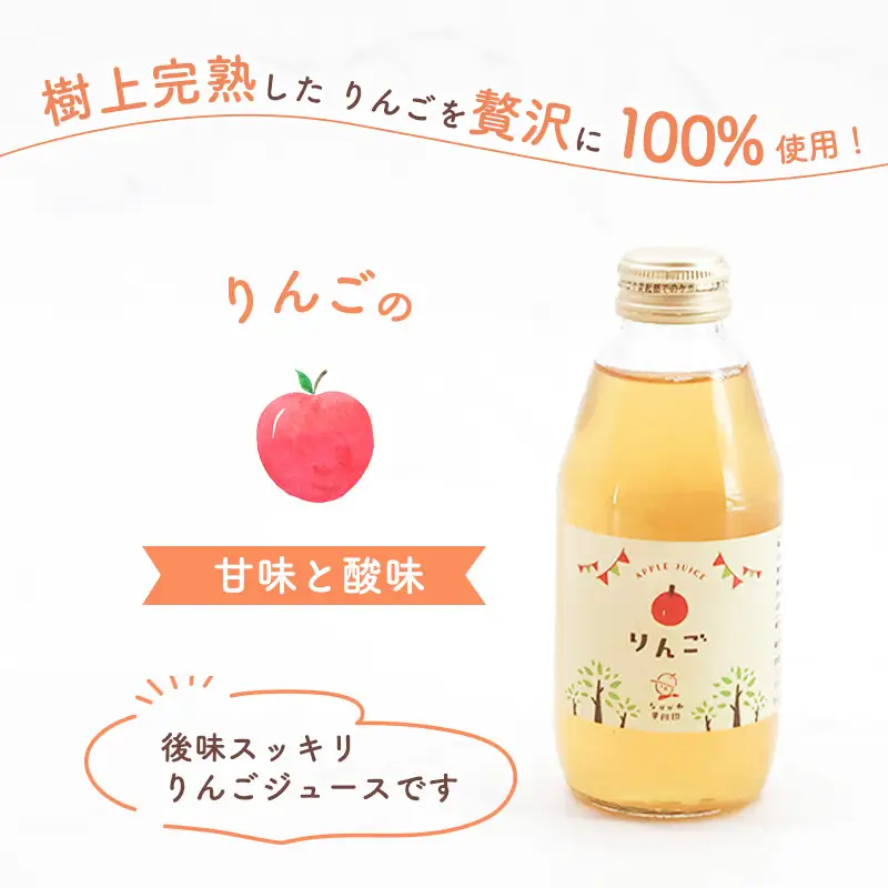 《ギフト箱》 わくわくりんごジュース 果汁100％ ジュースセット 200ml×6本 樹上完熟 りんご　014-G-NG013