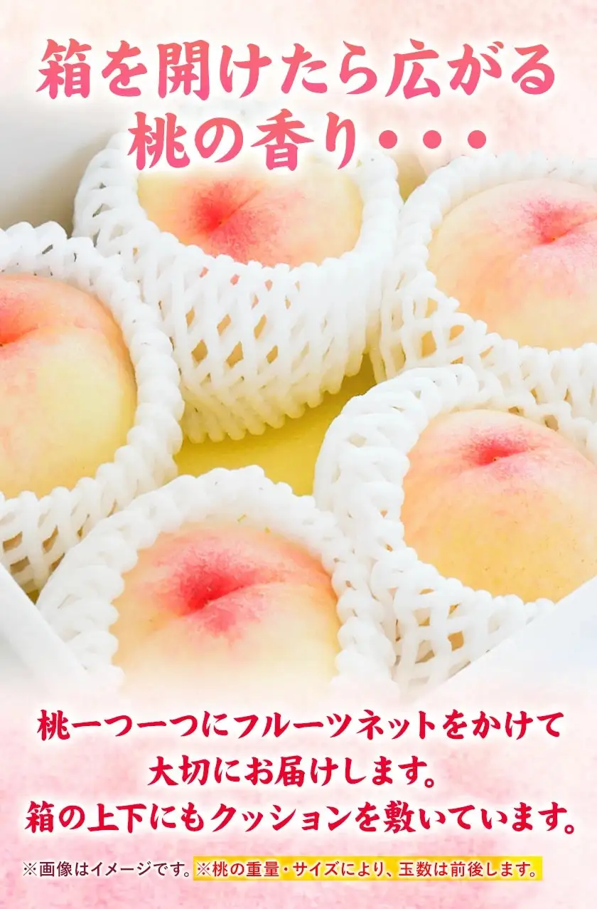 【全2回】晴れの国定期便 桃1kg マスカット1.3kg 定期便