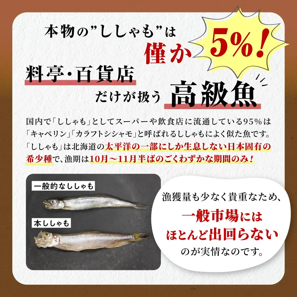 【訳あり】しらぬか産 本ししゃも 【数量限定】【中オス10尾・中メス20尾】_A015-1163