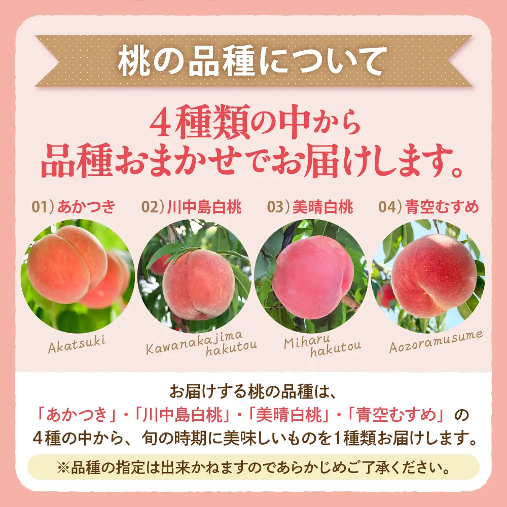 【2026年産】 白桃 ( 品種おまかせ ) 3kg 白桃 桃 もも