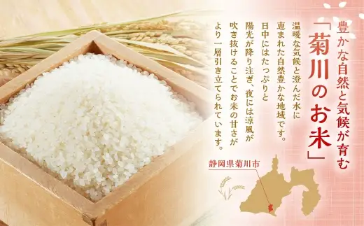 【 令和8年産 】 静岡県産 コシヒカリ 精米 5kg （ 5kg × 1袋 ） こしひかり 弁当 お米 米 こめ コメ 白米 白飯 飯 ご飯 オニギリ おにぎり 【 2026年8月下旬～2027年8月下旬まで順次発送予定 】
