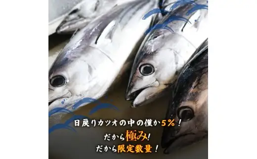 極みかつお刺身漬け丼 10パック