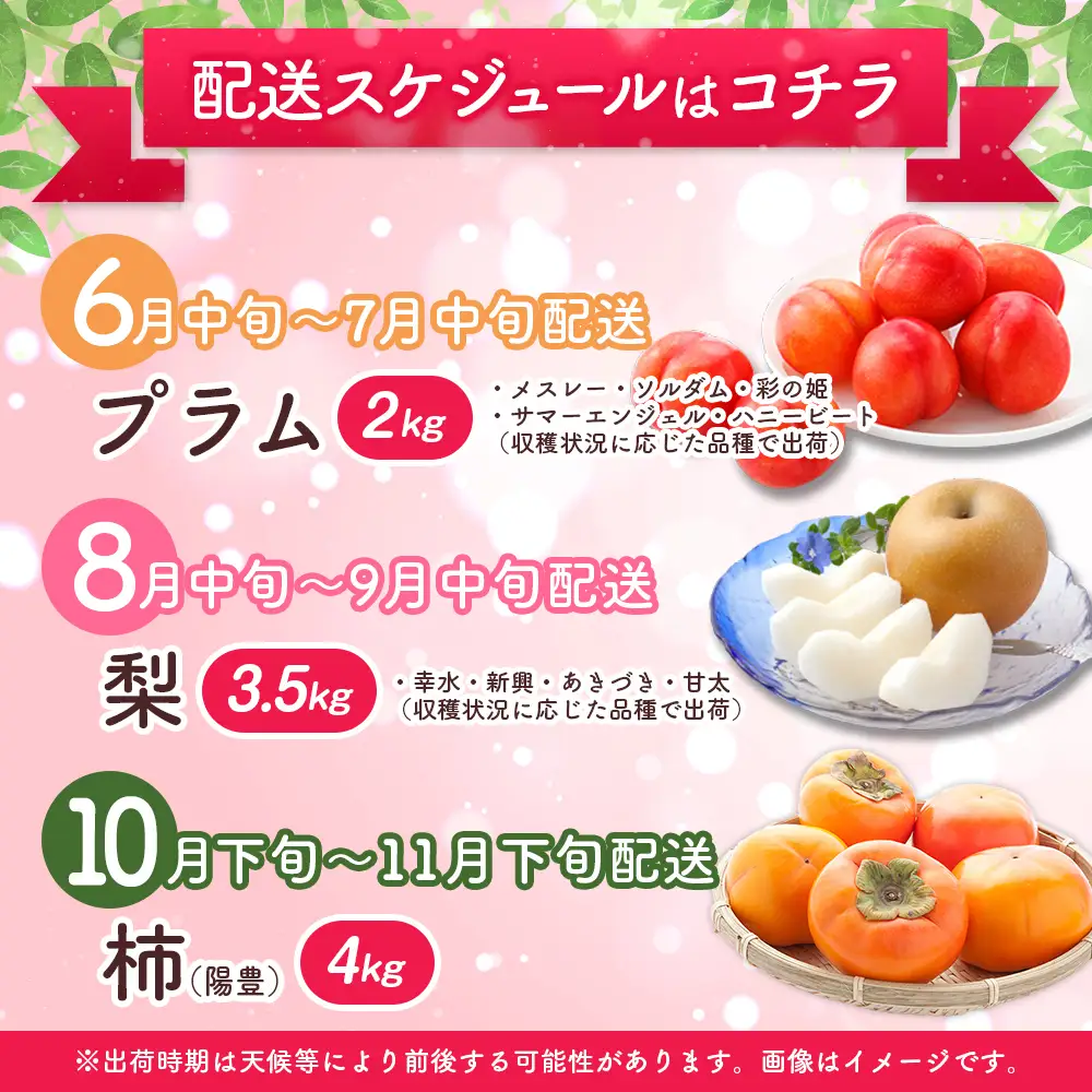 期間限定 フルーツ 旬の厳選 プレミアム便  全3回  プラム 梨 柿 果物 E268