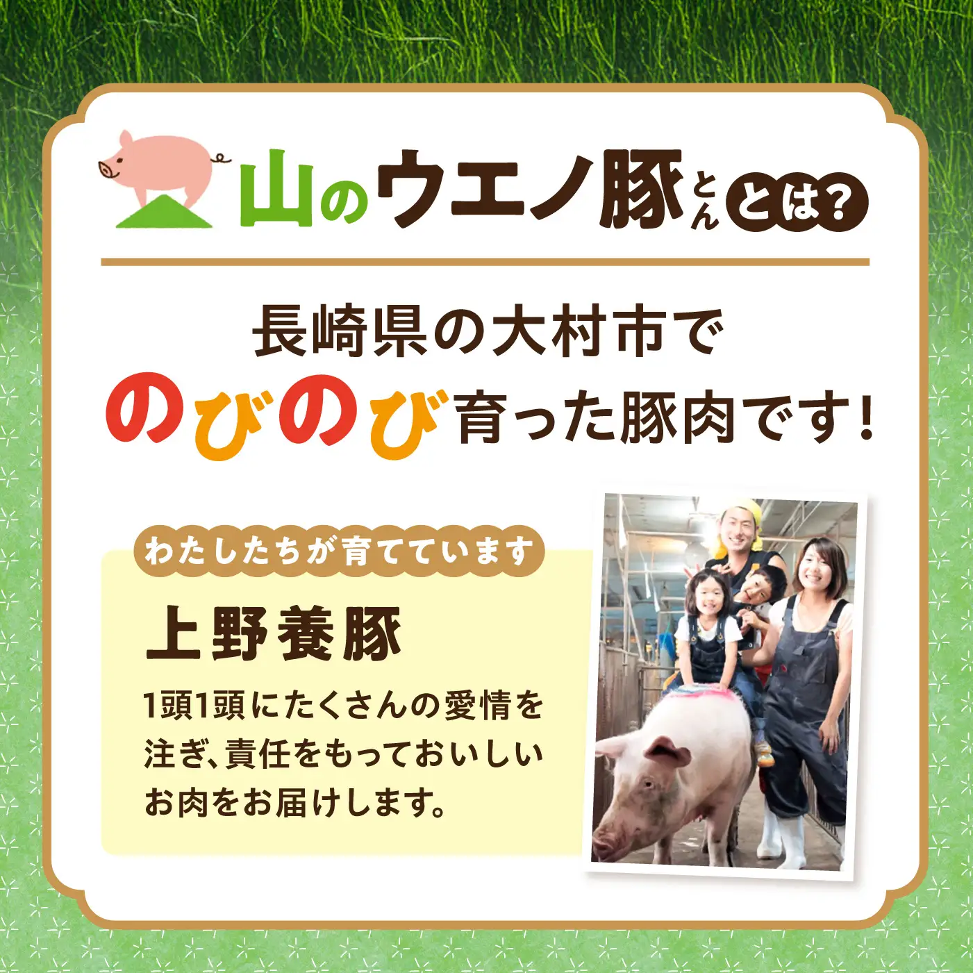 「山のウエノ豚」 豚バラ スライス 1kg（500g×2）/ 豚肉 バラ / 大村市/合同会社肉のマルシン[ACCF004]