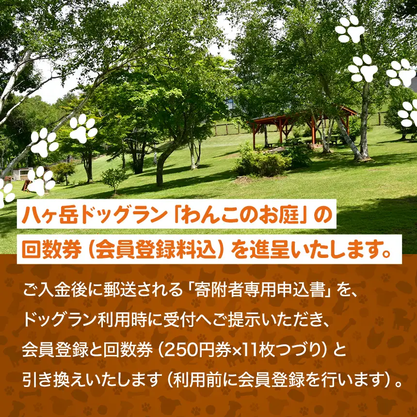 【ビジター限定】 八ヶ岳 ドッグラン 「 わんこのお庭 」 会員登録 ＋ 回数券 11枚