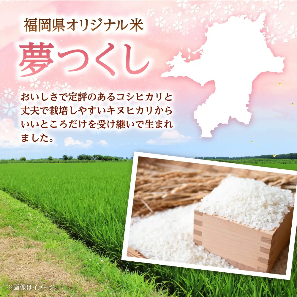【全3回定期便】夢つくしパックご飯 計48パック (各200g）   桂川町/東福岡米穀株式会社[ADBG004]