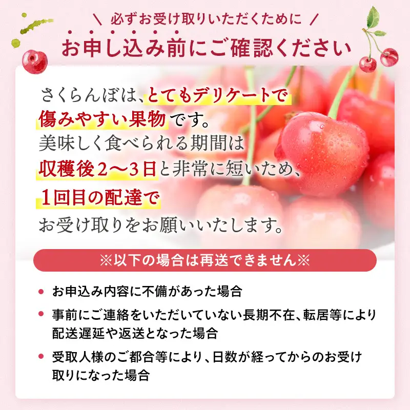 職人が本気で作ったこだわりのさくらんぼ！秋田県三関（みつせき）産【令和8年産先行予約】 さくらんぼ 佐藤錦 秀品 Lサイズ (250g×2P) 常温 朝採れ 産地直送 【6月中旬から発送開始予定】 ふるさと納税 さくらんぼ 果物 [B3-3201]