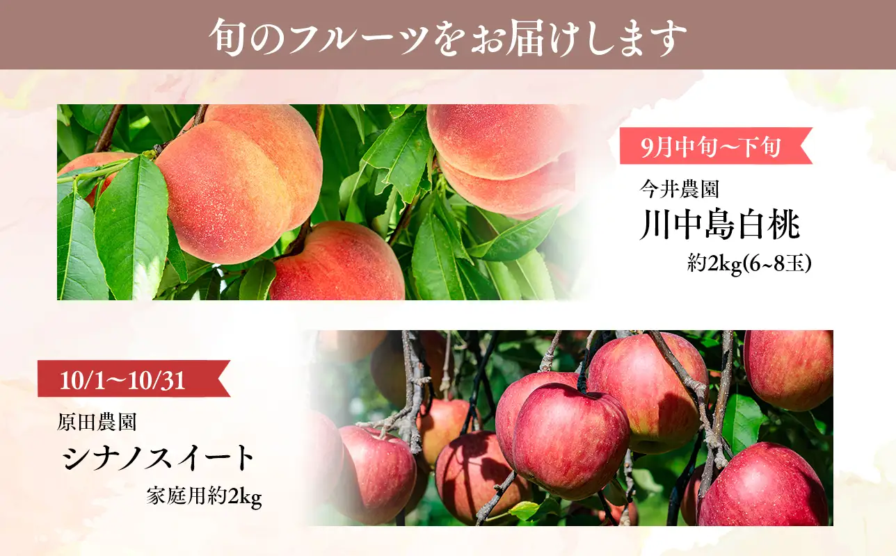 青森フルーツ満喫便　家庭用 桃＆りんご 2回定期コース【hi-0999-009】