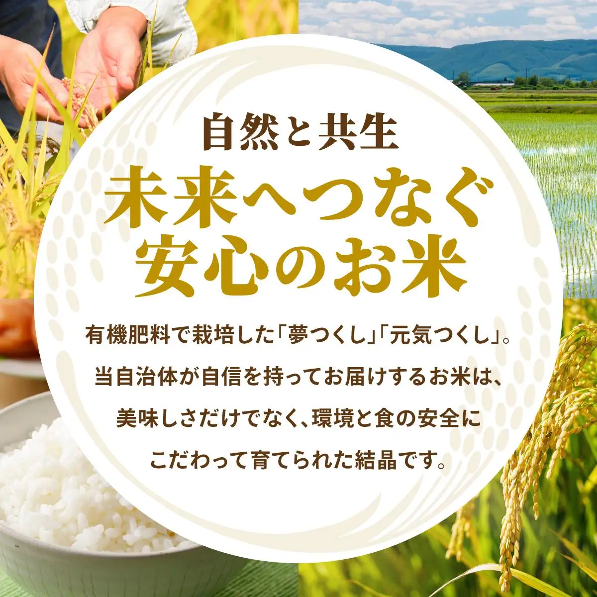 【令和7年度産】藤の米(ふじのまい) 10kg(5kg×2袋)【フジノ農園】